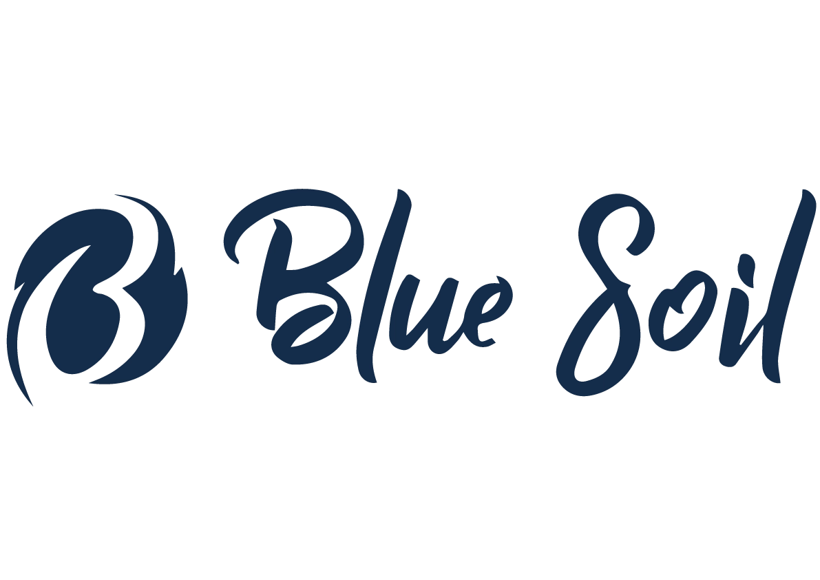 Bluesoil.stores achtergrond