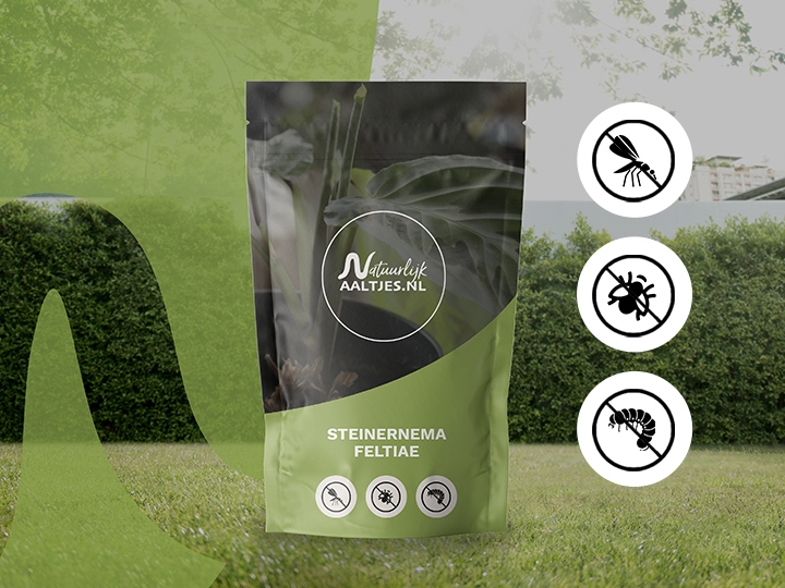 Natuurlijk Aaltjess achtergrond