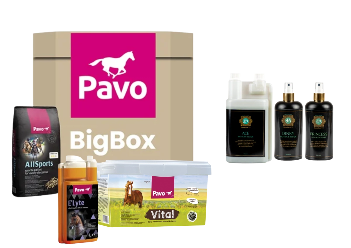 MijnZadelkasts achtergrond