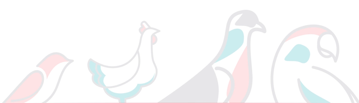 Med4Petss achtergrond