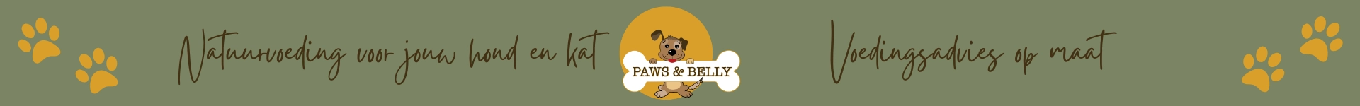 Paws and Bellys achtergrond