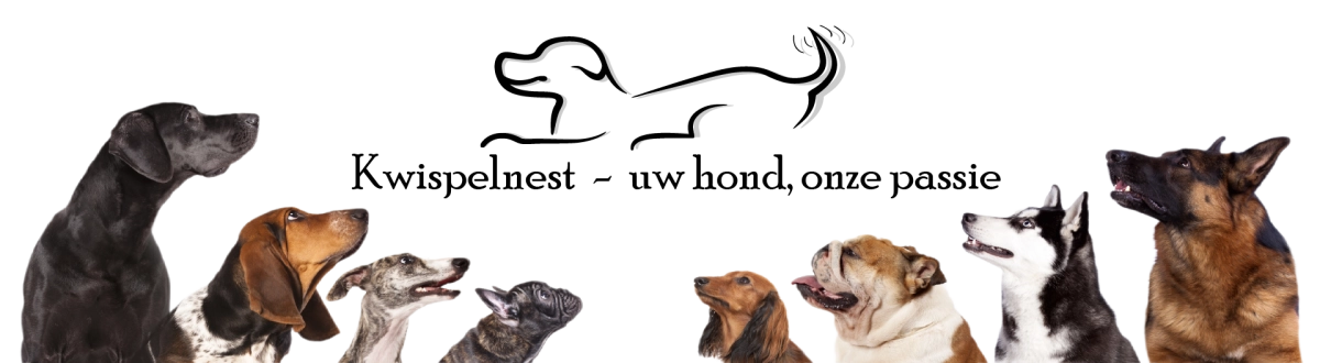 Kwispelnest.nls achtergrond