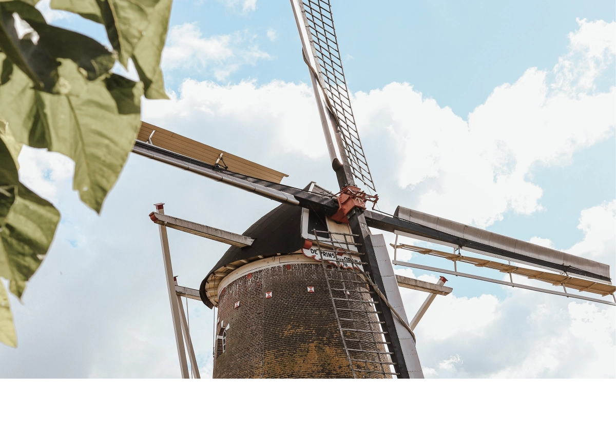 DeMolenwinkel.nl arrière plan