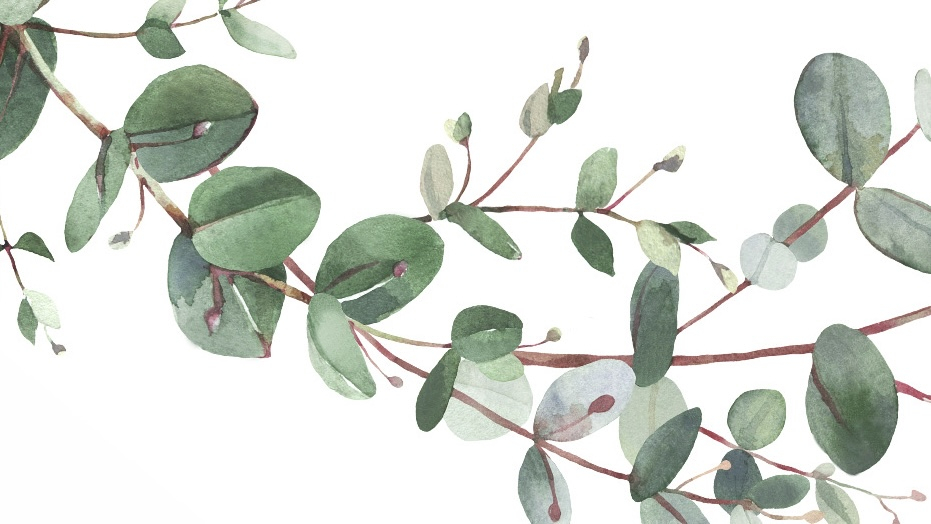 Baby Freshs achtergrond