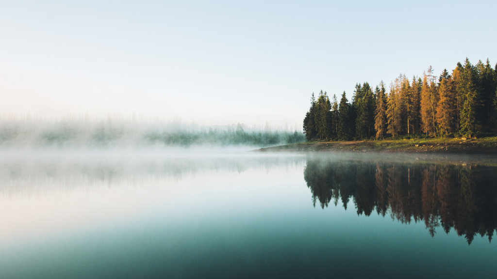 Nomadius.coms achtergrond