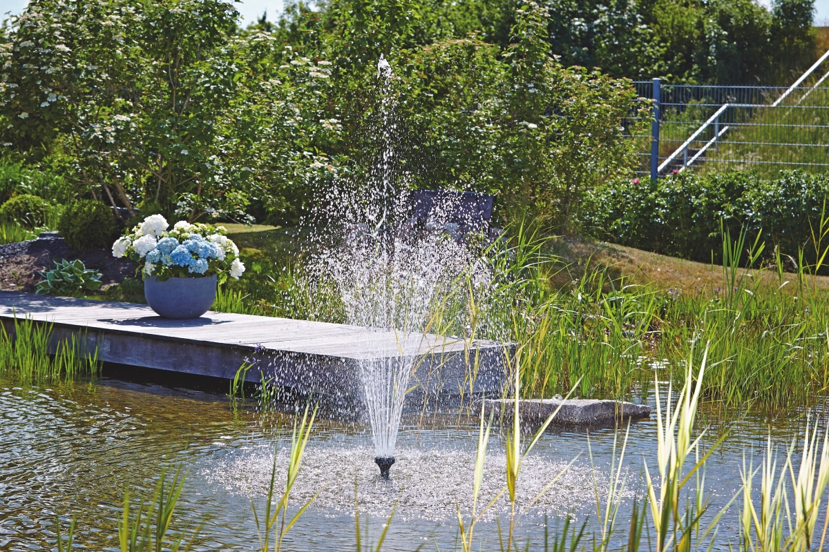 Vijverkenners achtergrond