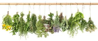 Rodenttopias achtergrond