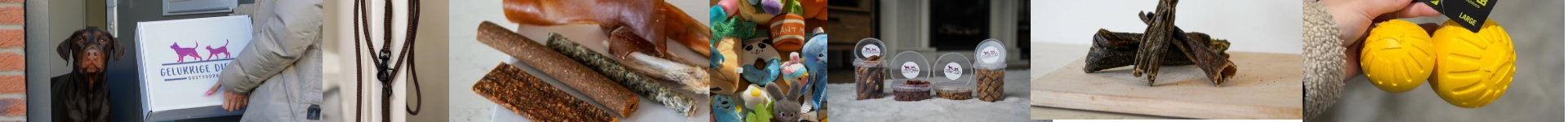 Gelukkige dierens achtergrond