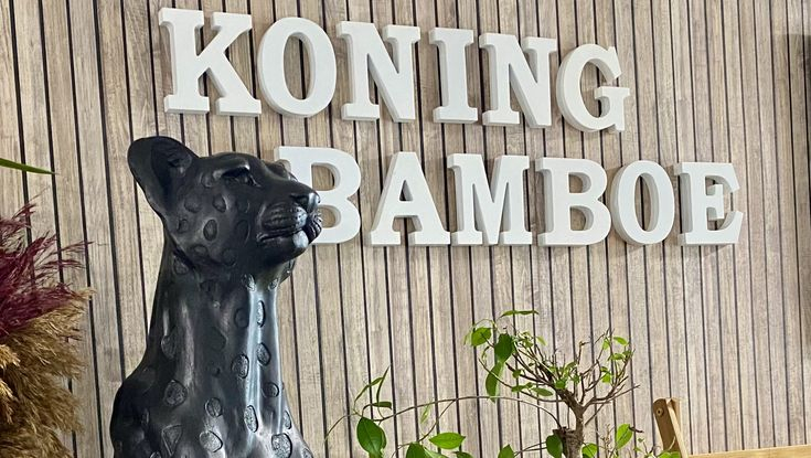 Koning Bamboes achtergrond