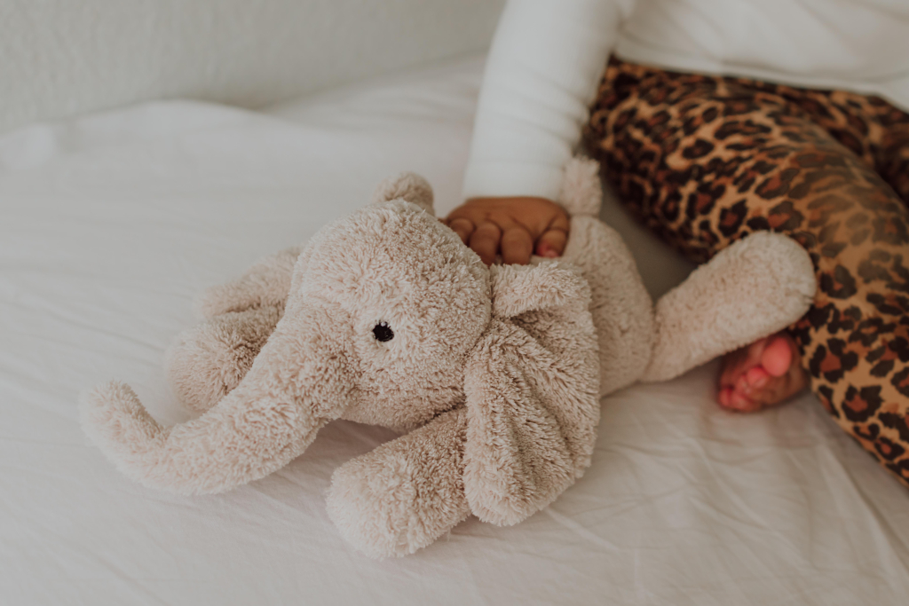 Welp & Wonders achtergrond