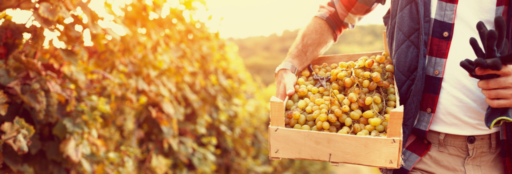 Fransewijnwinkel.nl Hintergrund