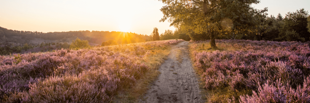 Naam Bij Het Grafs achtergrond