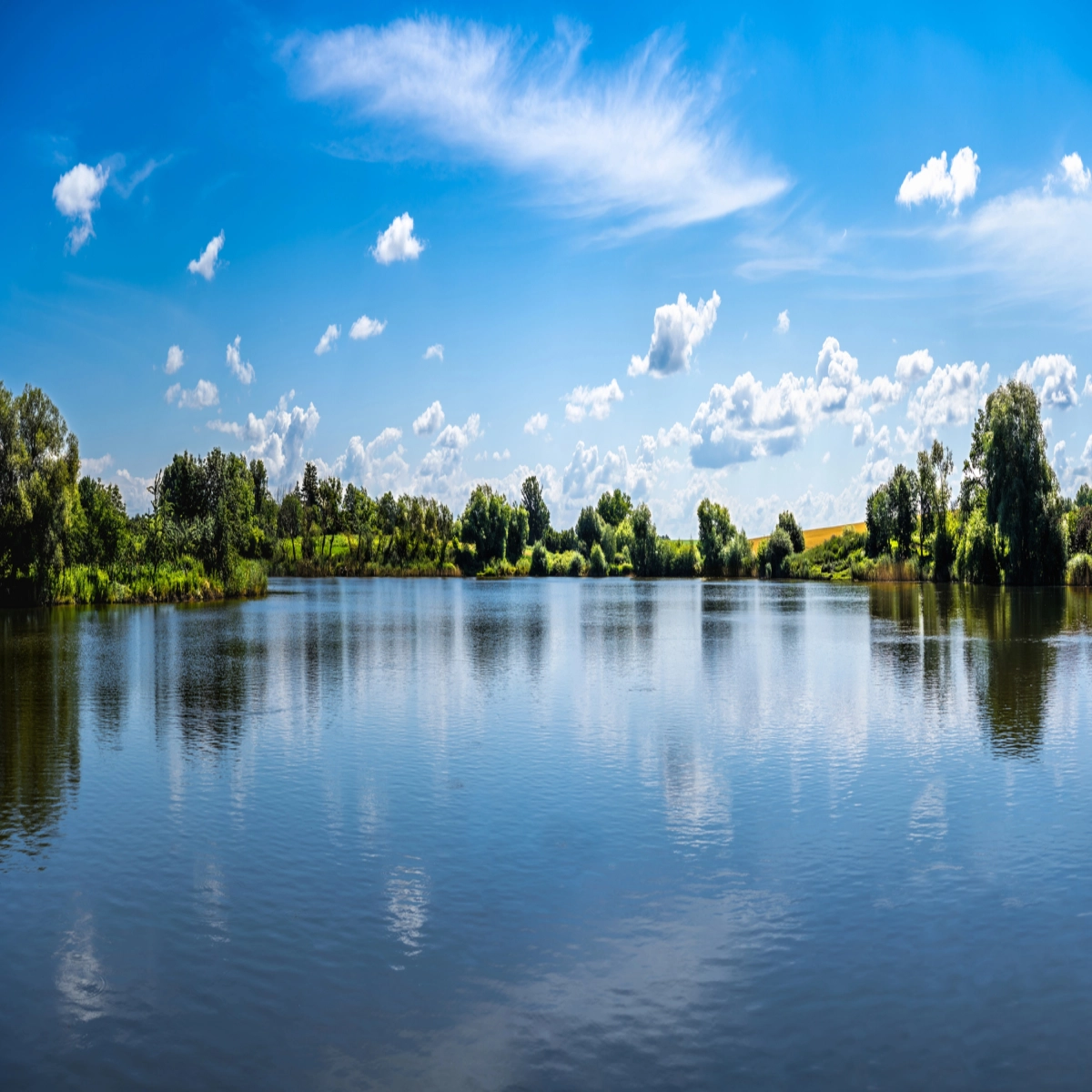 Tijdloos Coachens achtergrond