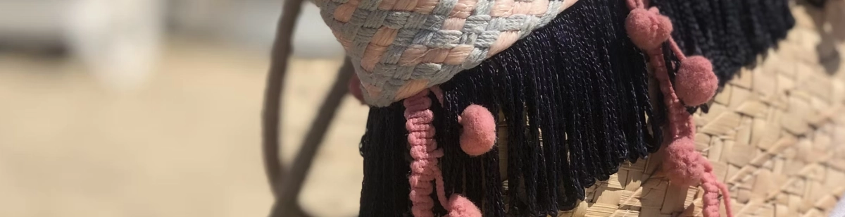 FanTassies Hintergrund