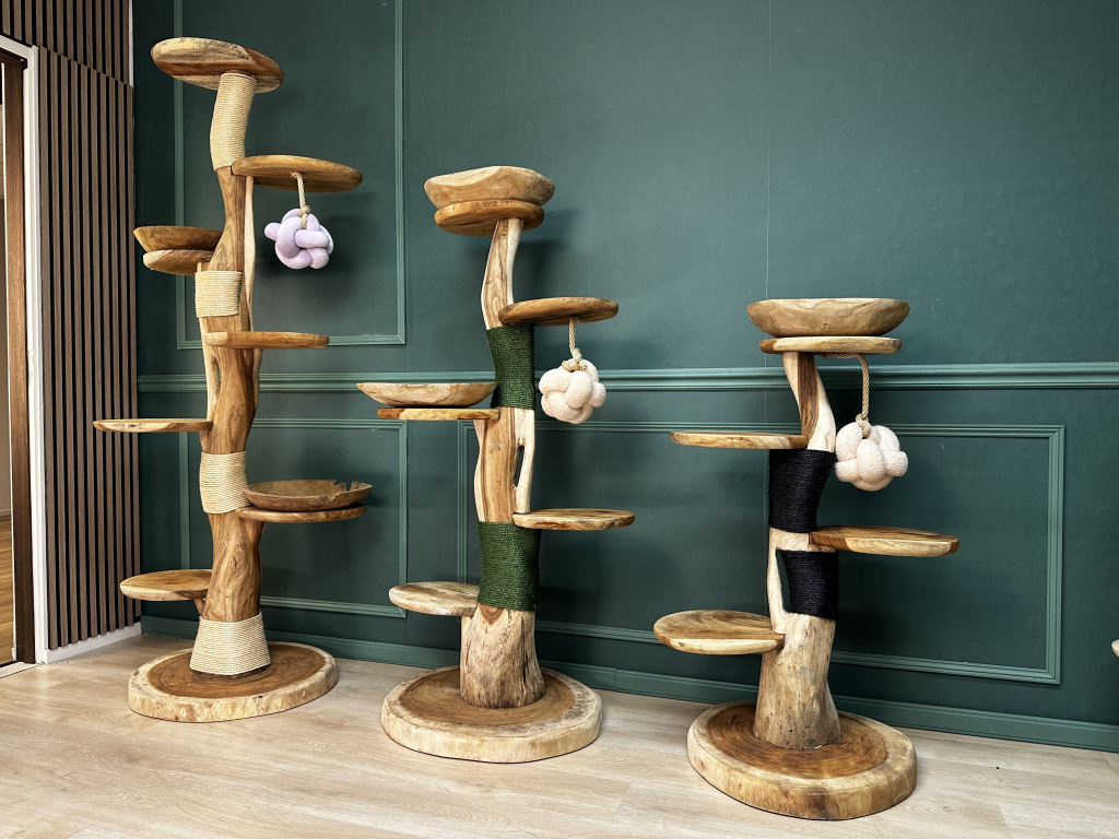 TropiCasas achtergrond