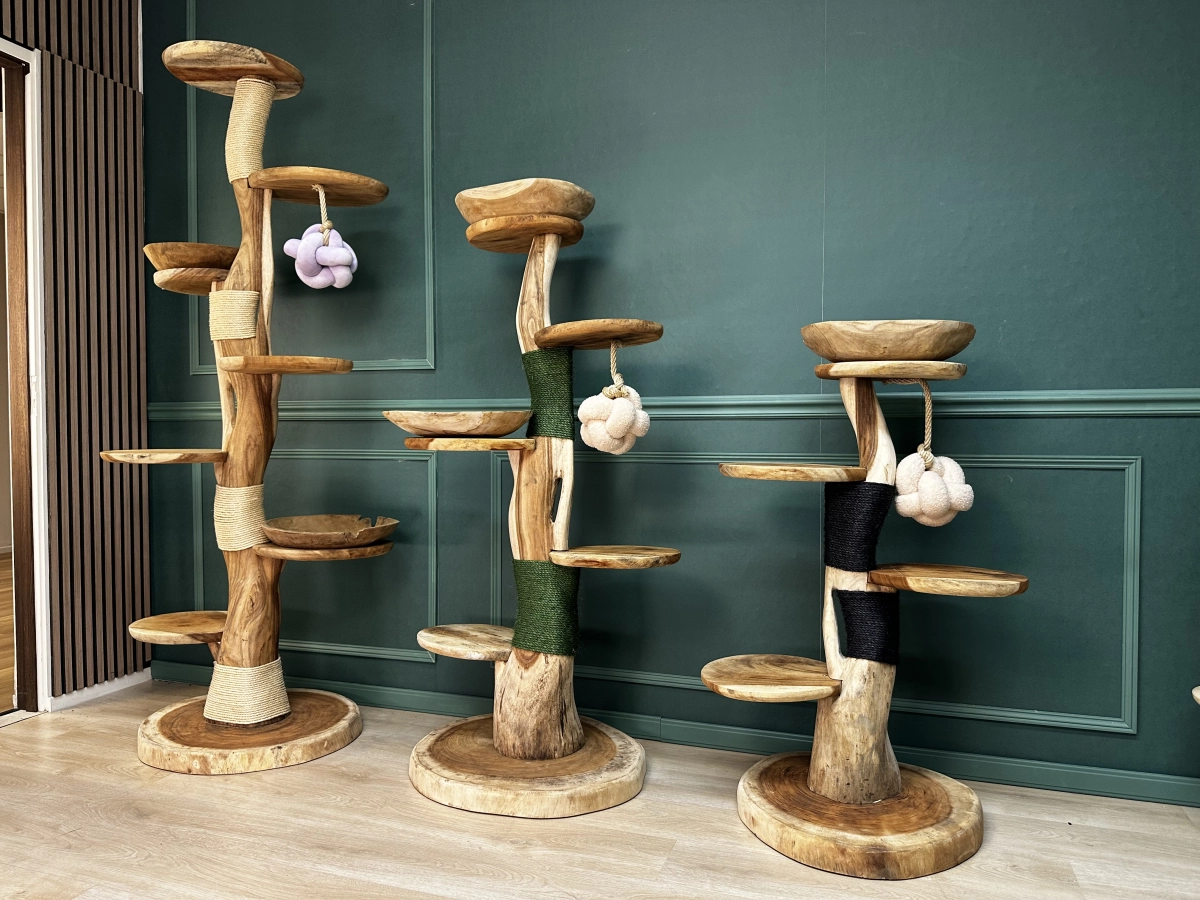 TropiCasas achtergrond