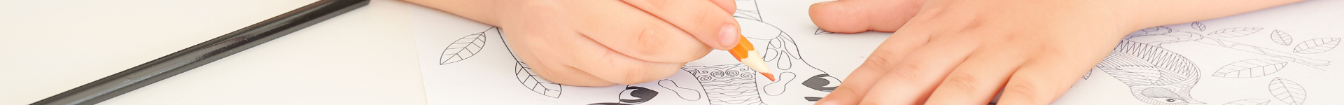 Feest met Lottes achtergrond