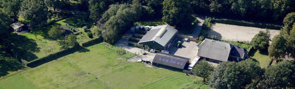 B&B Oldendievers achtergrond