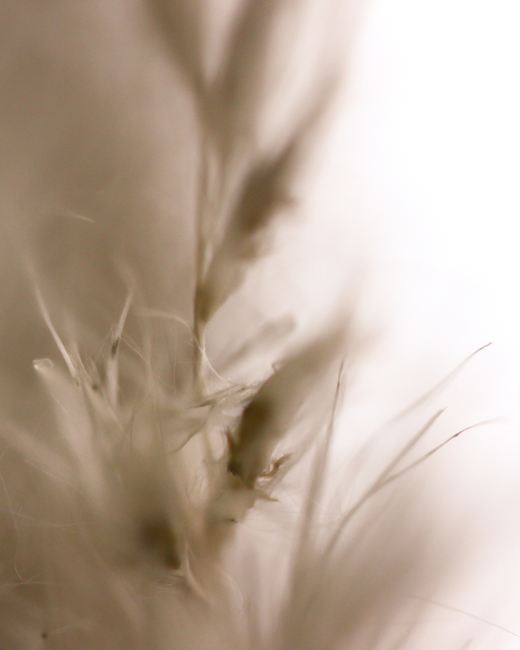 Herinneringsboekje; Houden van is voor altijds achtergrond