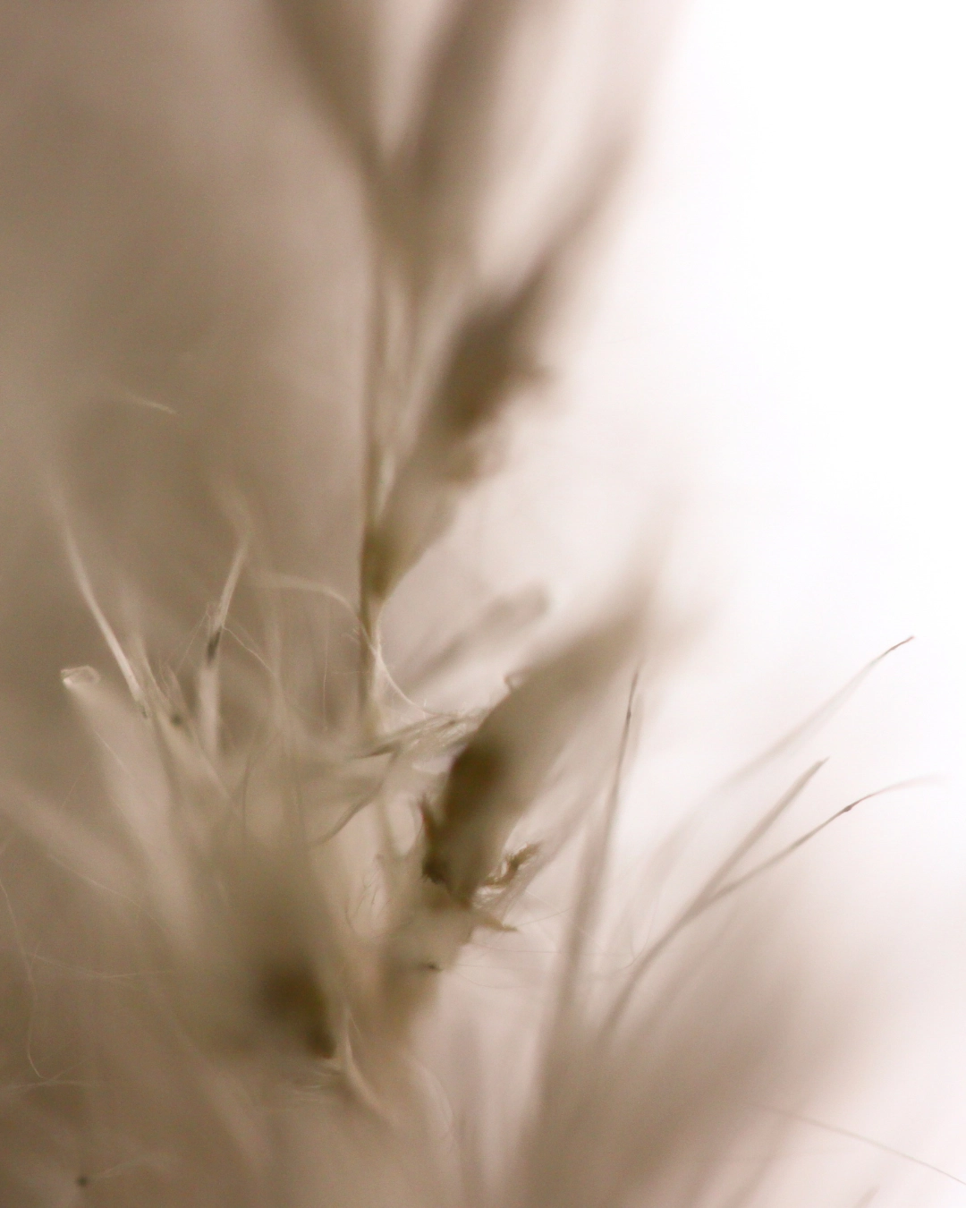 Herinneringsboekje; Houden van is voor altijds achtergrond