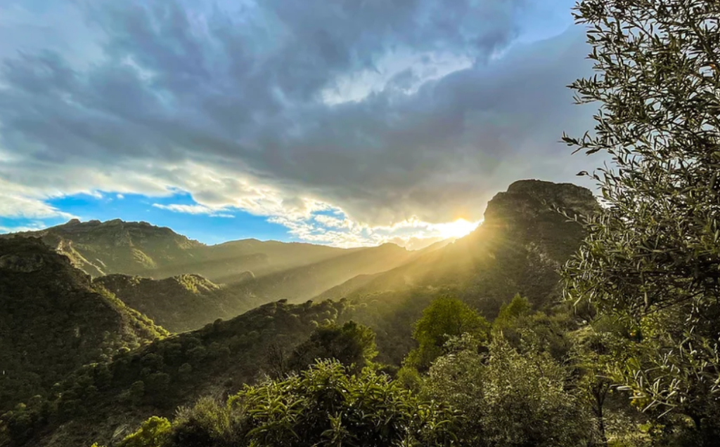 De Vrije Markt Coöperatie U.A. Hintergrund