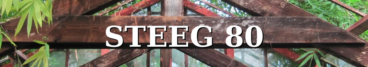 Steeg80s achtergrond