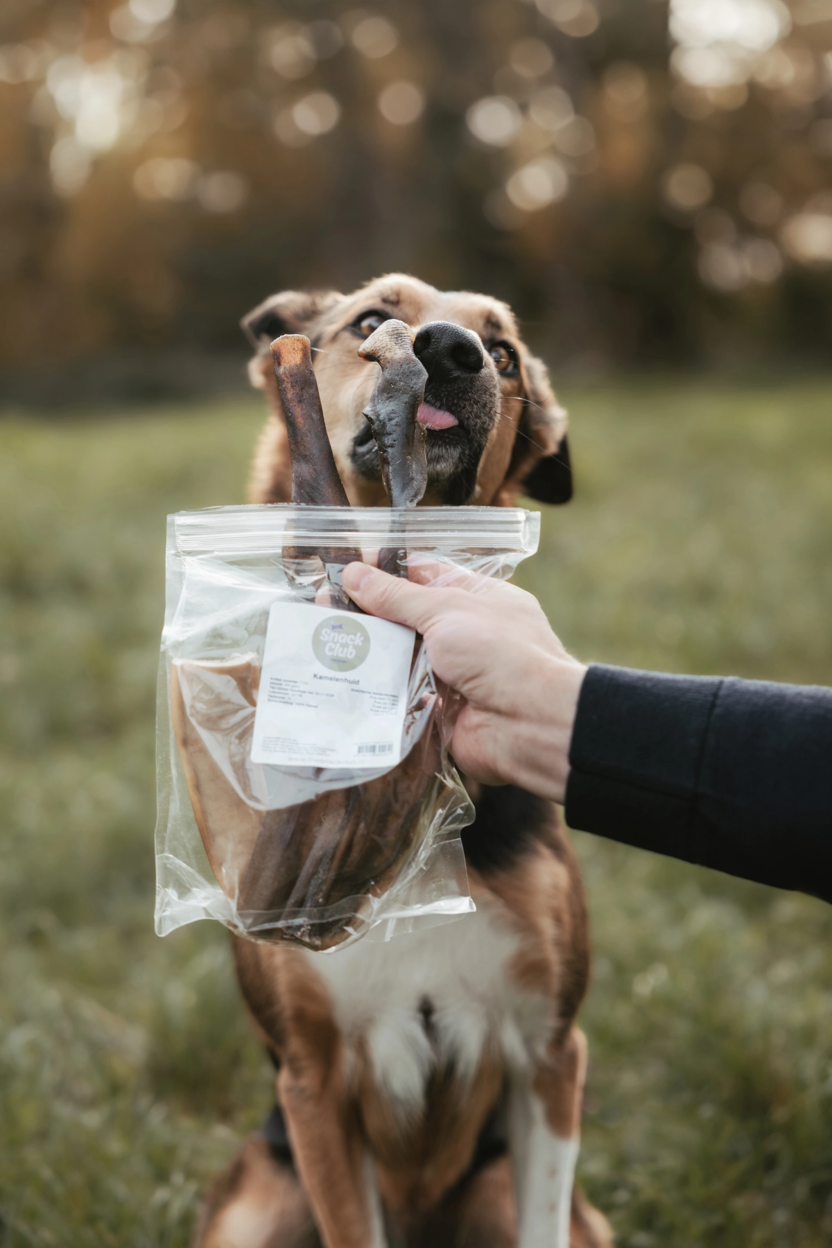 The Snack Clubs achtergrond