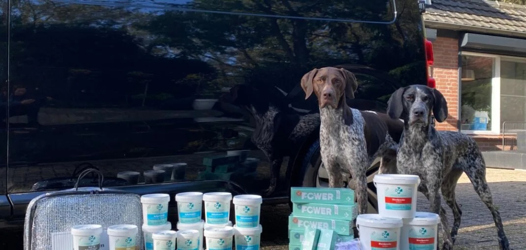 Europetss achtergrond