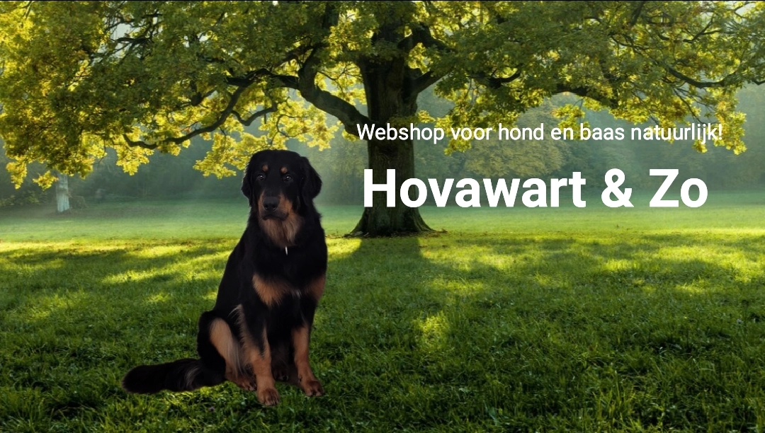 Hovawart & Zos achtergrond