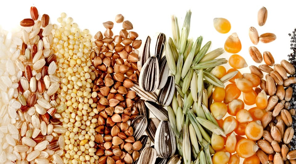 Anita's diervoer services achtergrond