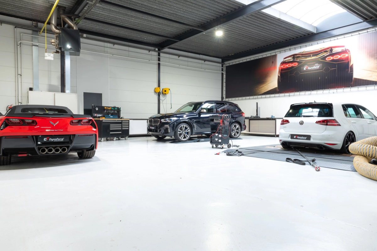 Dynoforces achtergrond