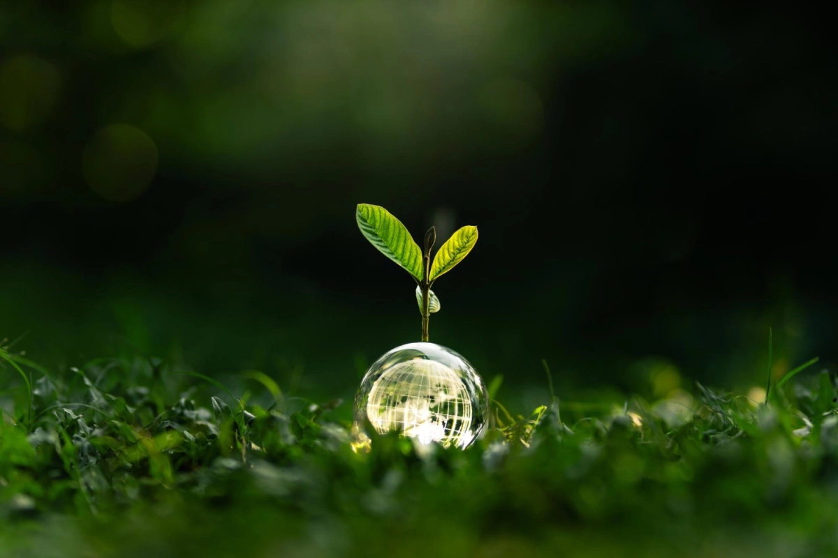 Flakkeenetwerk.nls achtergrond