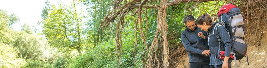 Rovince Adventure Wears achtergrond