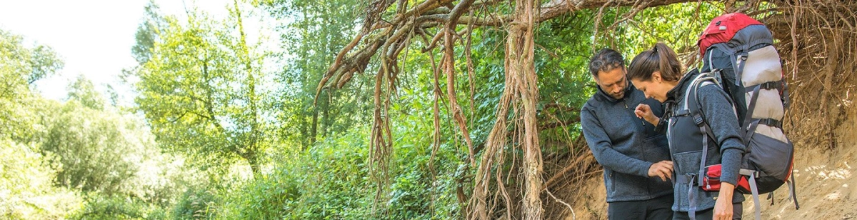 Rovince Adventure Wears achtergrond