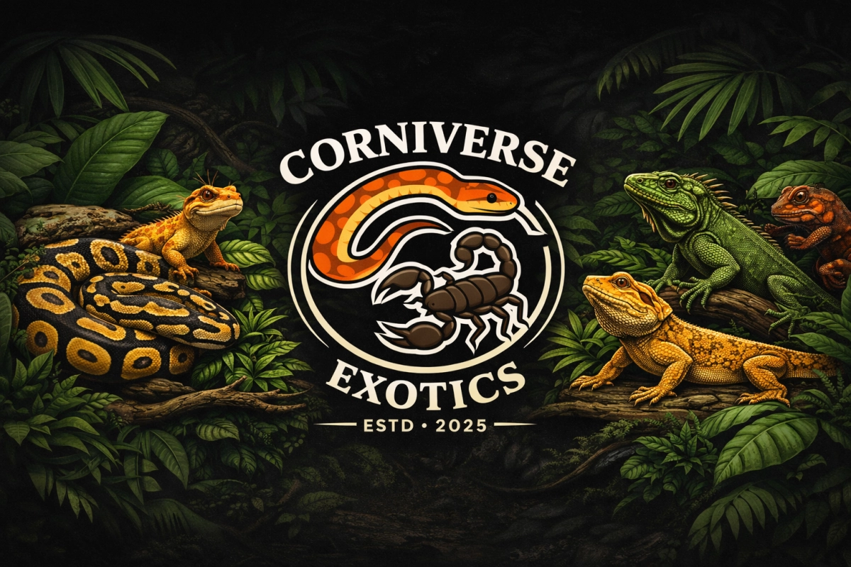 Corniverse Exoticss achtergrond