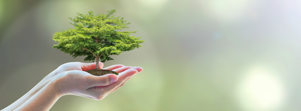 Qualoobas achtergrond