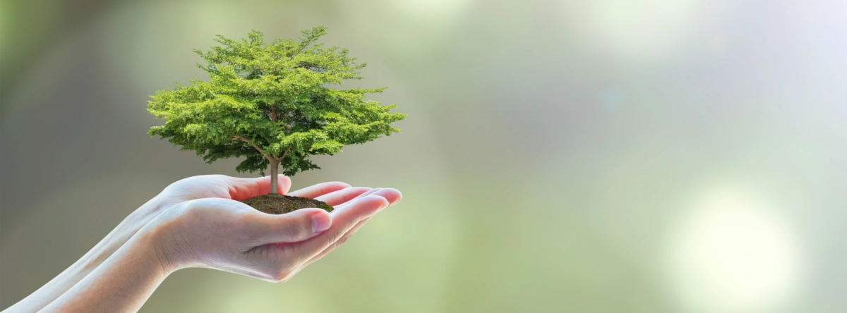 Qualoobas achtergrond