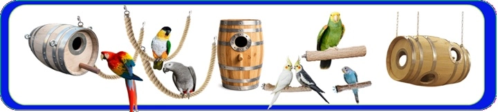 Jungle4birds arrière plan