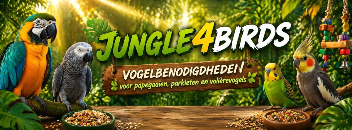 Jungle4birdss achtergrond