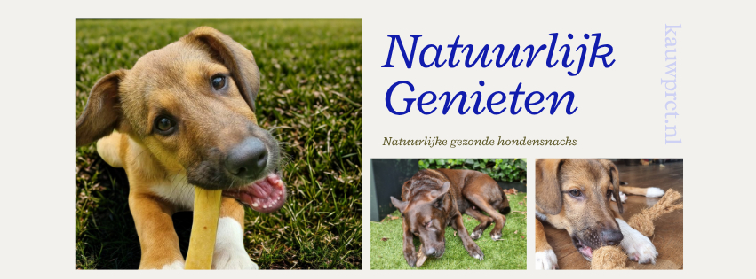 Kauwpret.nls achtergrond