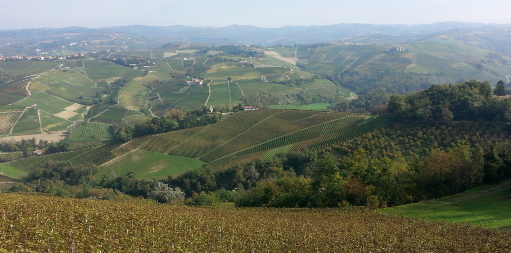 Chateau Divinos achtergrond