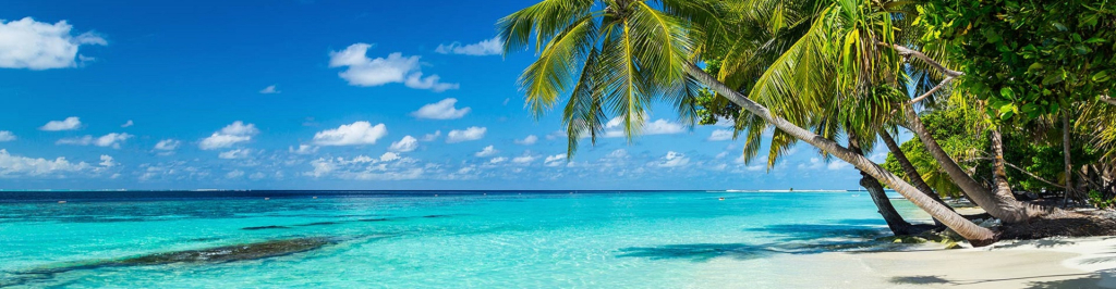 EIDON Ionic Mineralss achtergrond