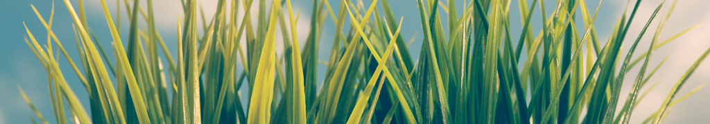 De Tuinmachine.nls achtergrond