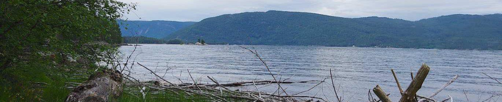 Natuurgadgets.nls achtergrond