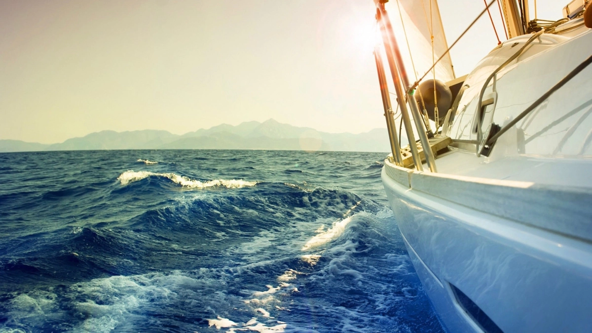 Saliseals achtergrond