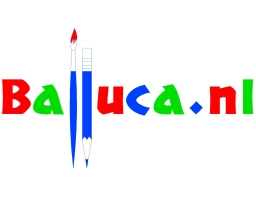 Logo van Balluca.nl