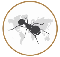 Ant's Kingdom | MeineAmeisenfarm.de