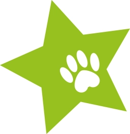 Logo van Doodle-STER SHOP