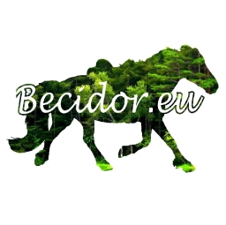 Logo van Becidor.eu