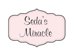 Logo van Seda's Miracle